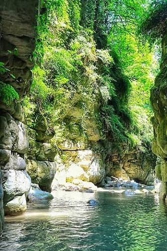 تنگه دار تا چمستان - آمازون ایران