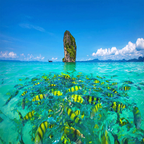 تور پوکت و فی فی از تهران