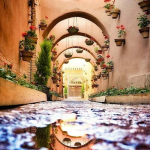 تور یزد از تهران