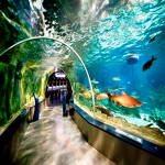 تور استانبول از تهران