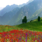 تور ایروان از تهران