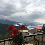 تور فیلبند از تهران