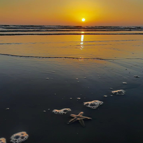 تور قشم از تهران