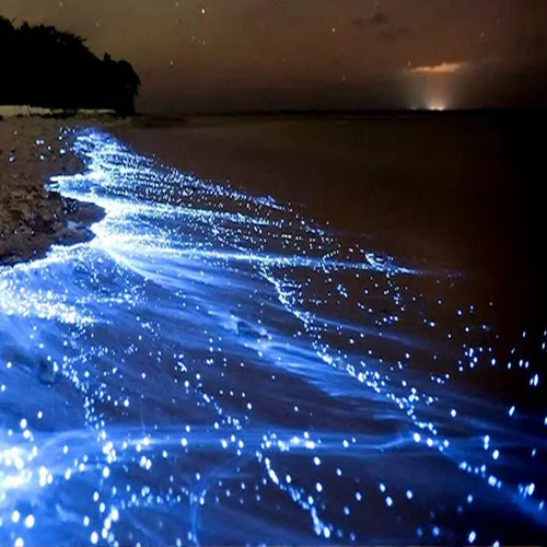 تور قشم از تهران