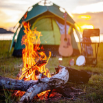 تور جنگل راش از تهران