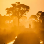 تور آفریقا جنوبی از تهران