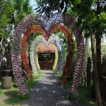 تور بالی از تهران