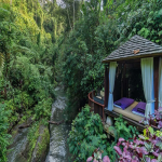 تور بالی از تهران