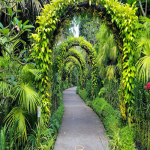 تور سنگاپور از تهران